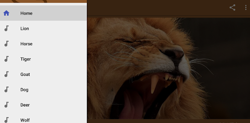 Animals Ringtones screenshot 1