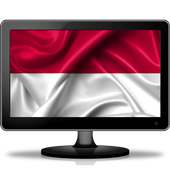Indonesia TV Channels Guide 2019