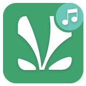 Tips Jlo Savn 2019 on 9Apps