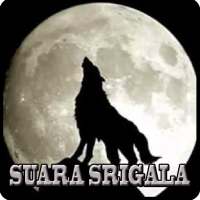 Suara Srigala Ringthones on 9Apps