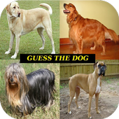 Guess The Dog Breed icon