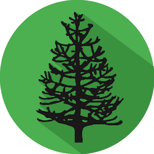 Spotters of Monkey Puzzle Trees icon