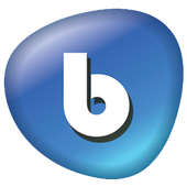 Bsocial - Next era of social networking icon