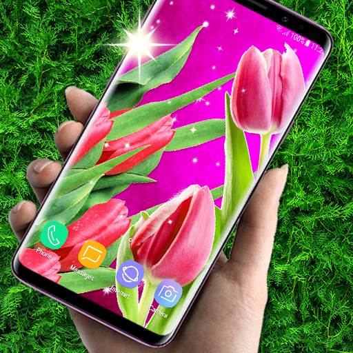 Tulips Spring Live Wallpaper icon