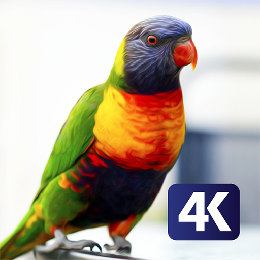 PhoneStack - Lovely Bird Wallpaper (QHD, 4K &amp; UHD) icon