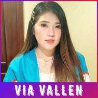 Lagu Via Vallen Best Album Offline on 9Apps