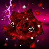 love rose on 9Apps