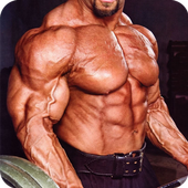 Perfect Bodybuilding Workout أيقونة