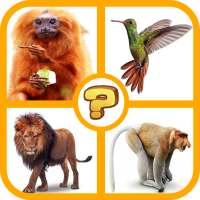 Guess the Animals Quiz 2021