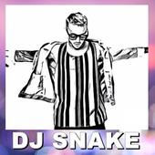 DJ SNAKE icon
