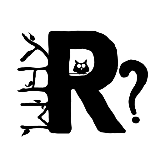 WhyR? 2017 icon