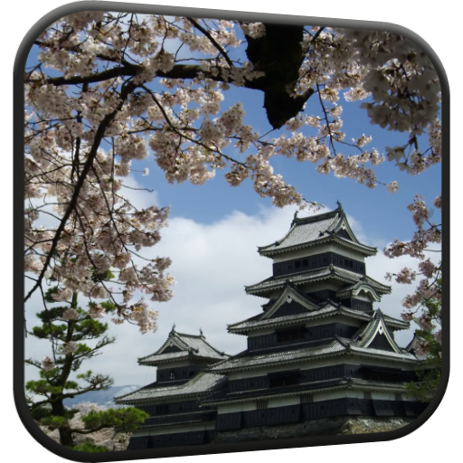 Sakura Video Live Wallpaper icon