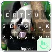 Naughty Panda on 9Apps