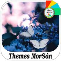 Butterflies : Xperia Theme on 9Apps