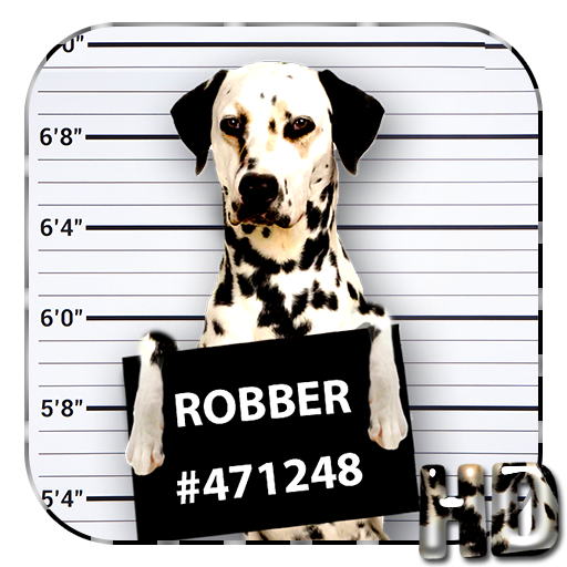 Cool Dog APUS Live Wallpaper icon