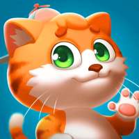 cat-pet store animal care