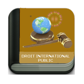 Droit International Public icon