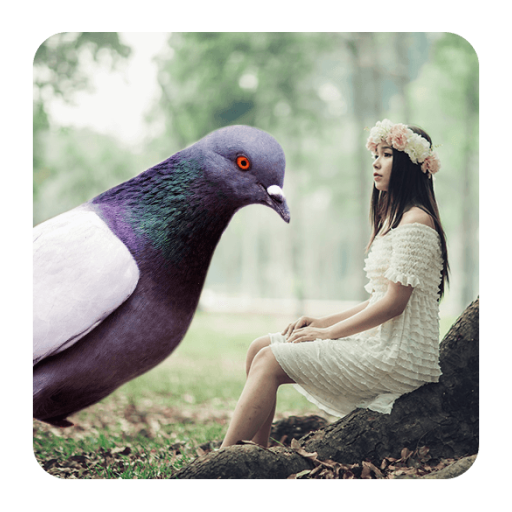 Dove Photo Editor - Dove Photo Frames icon