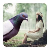 Dove Photo Editor - Dove Photo Frames on 9Apps