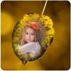 Leaf Photo Frames on 9Apps