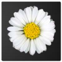 Daisy Battery Widget