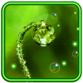 Drops of Water Photo icon