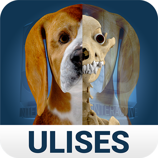 Osteology in Dogs (Free) icon