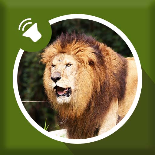 Lion Sounds icon