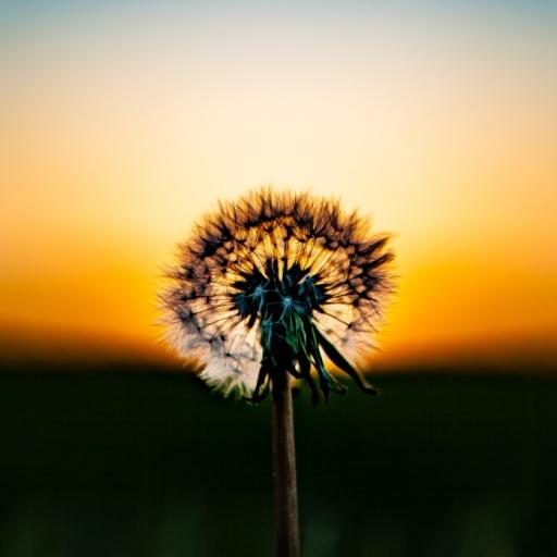 Hypnose en français icon