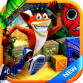 temple crash adventure:Legends Bandicoot 3DGame