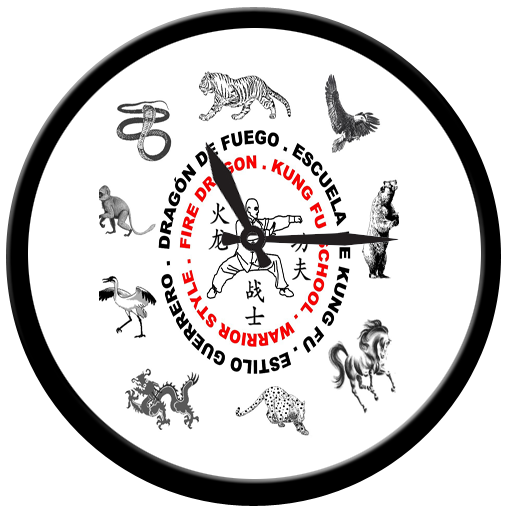 Kung fu Stretching Timer FREE icon