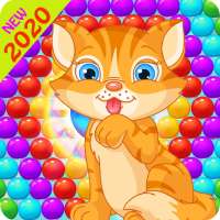 Bubble New Cat