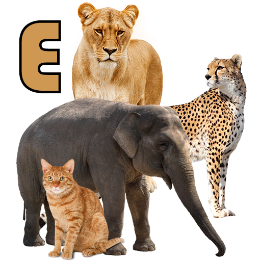 Animals Name Animal Sounds Animals Pictures icon