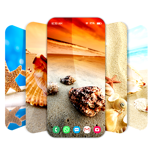 Wallpapers with shells icon
