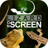 Lizard on Phone Screen: Funny Animation