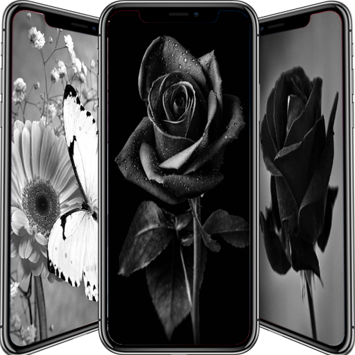 Black Flowers Wallpaper icon