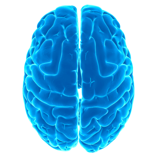 Logische test - IQ icon