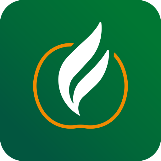 Flach Supermercados icon