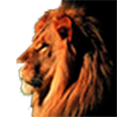 Animals Sound Effects icon