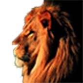 Animals Sound Effects on 9Apps