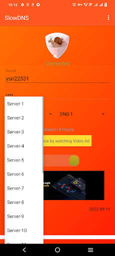 VPN Over DNS  Tunnel : SlowDNS screenshot 3