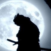 Shadow Fight 3 Wallpaper icon