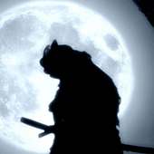 Shadow Fight 3 Wallpaper