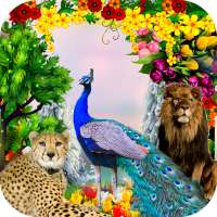 Peacock & Nature Photo Frames on 9Apps