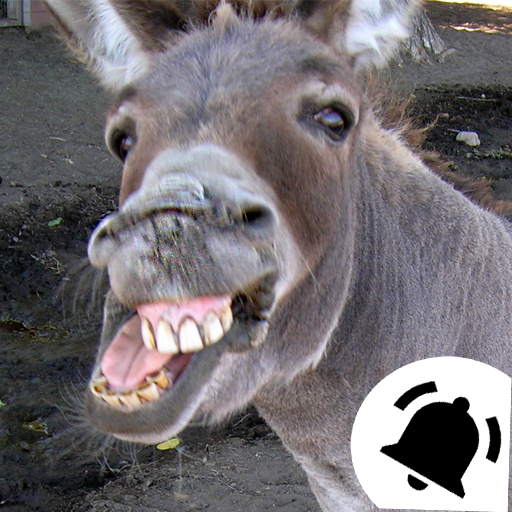 Animal Ringtones &amp; Sounds icon