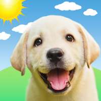 Weather Puppy - App & Widget on 9Apps