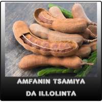 Amfanin Tsamiya Da Illolinta on 9Apps