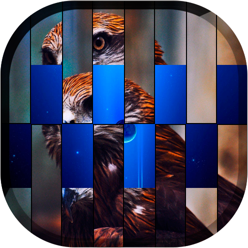 Pic FX Transition LWP icon