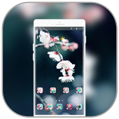 Theme for oppo R15x wallpaper icon