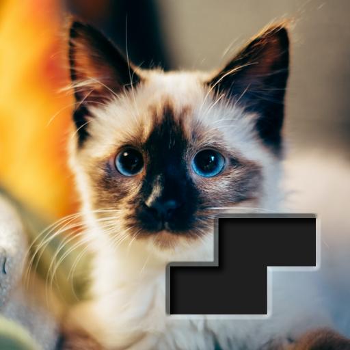 Block Square Jigsaw Puzzle icon